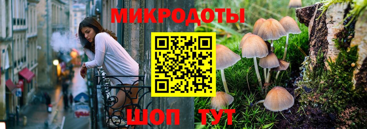 Сухой Лог  Псилоцибиновые грибы Psilocybine cubensis  Псилоцибиновые грибы мицелий  Вход с VPN 